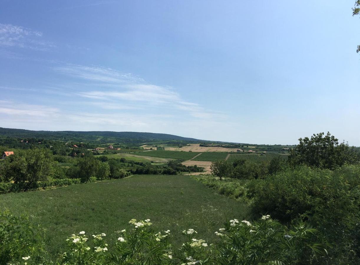 Fruska Gora Guesthouse Irig Екстериор снимка